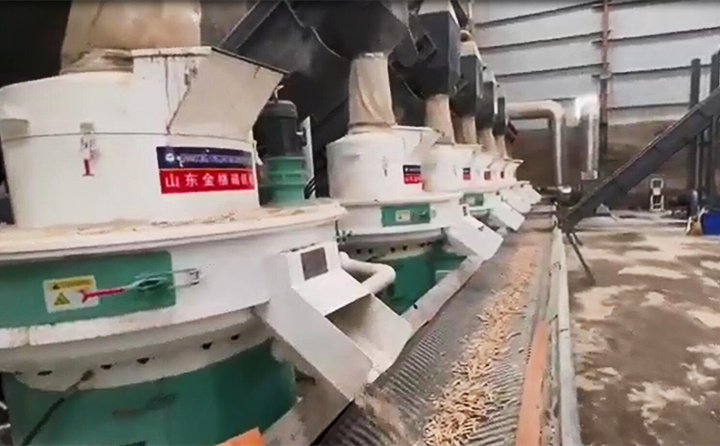 生物質(zhì)顆粒機