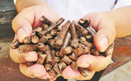 推廣生物質(zhì)燃料利用，農(nóng)林業(yè)廢棄物變成“寶貝疙瘩”